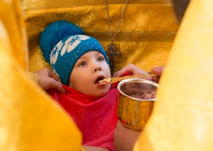 воскресная-служба-в-Успенском-соборе_Омскноября-09-2014_35